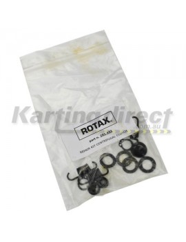 Rotax Early Model Clutch Spring Kit - pre 2006