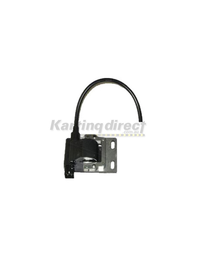 Rotax Ignition Coil
 
Rotax Part No.: 265578