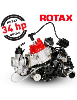 ROTAX 125 MAX DD2 ENGINE