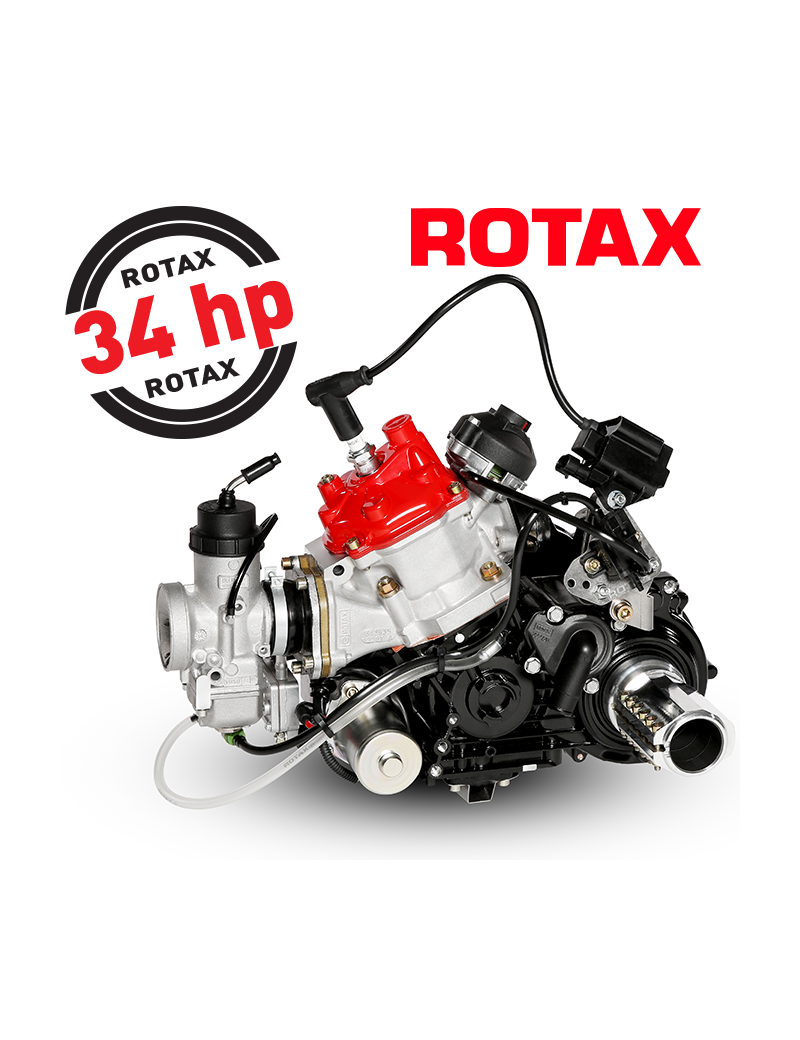 ROTAX 125 MAX DD2 ENGINE
