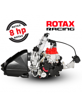 Rotax Micro Max 125cc TAG Eng Kit. MicroMax
