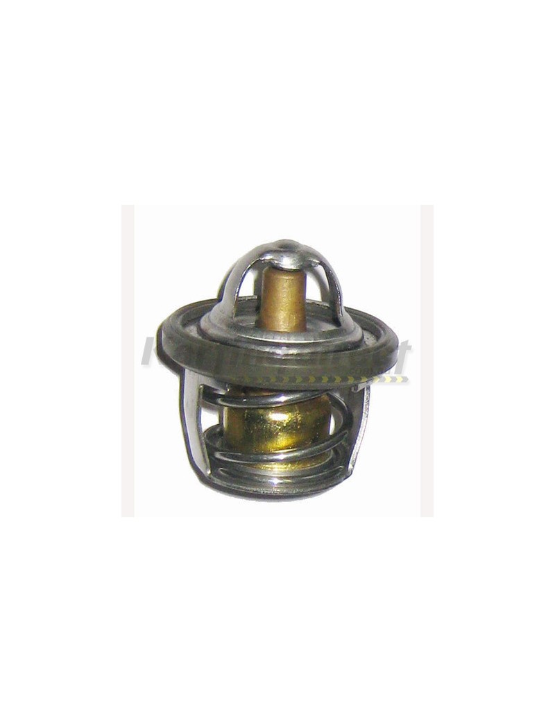 Thermostat 45c  Stainless Steel