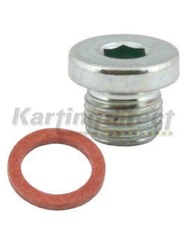 Master Cylinder Cap - Plug  10 x 1mm  With Washer