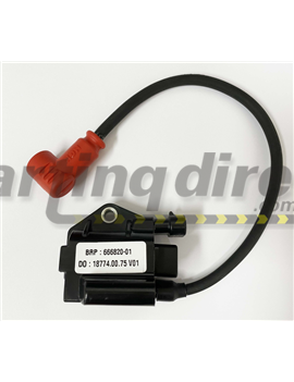 Rotax Ignition Coil - EVO JNR/SNR/DD2 - Red Cap -
Rotax Part No 666826