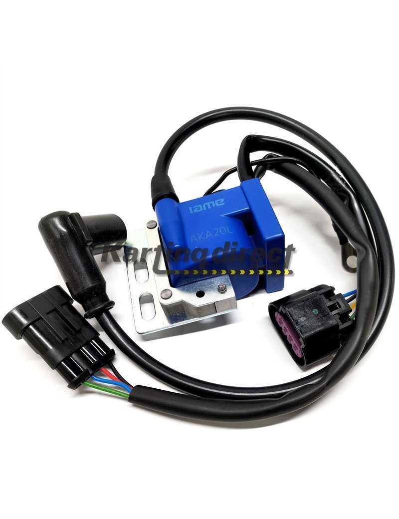 GO KART IAME X30 IGNITION CONVERSION KIT SELETTRA - X30125983AKA