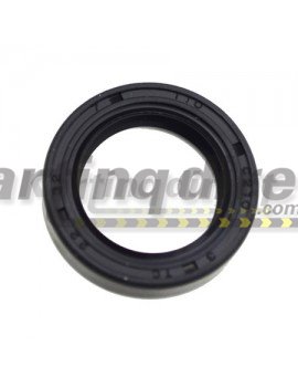 X30 Balance Shaft Seal 22x32x7         
IAME Part No.: X30125880