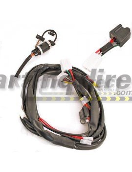 IAME X30  RL Leopard Wiring Harness  Includes Key and Relay. CDI Sold Separately