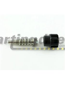 Dellorto Carburetor idle Screw Rotax Max 
Genuine