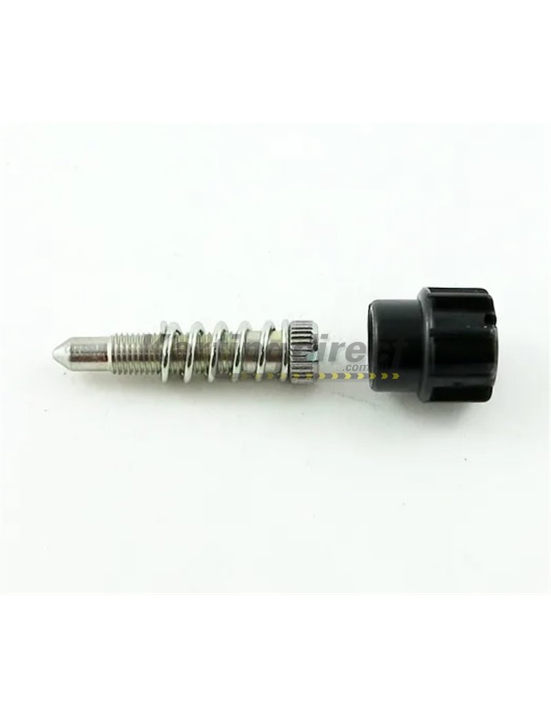 Dellorto Carburetor idle Screw Rotax Max 
Genuine