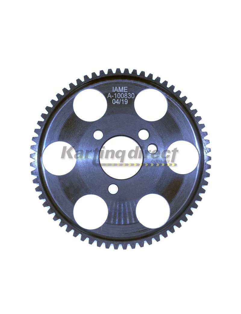 IAME Ring Gear to suit RL Leopard - NOT X30 or KA100 IAME Ring Gear to suit RL Leopard - NOT X30 or KA100