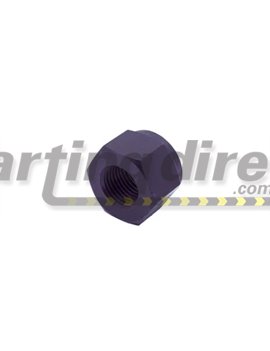 IAME KA100 / X30  Crank Shaft Nut D-75570