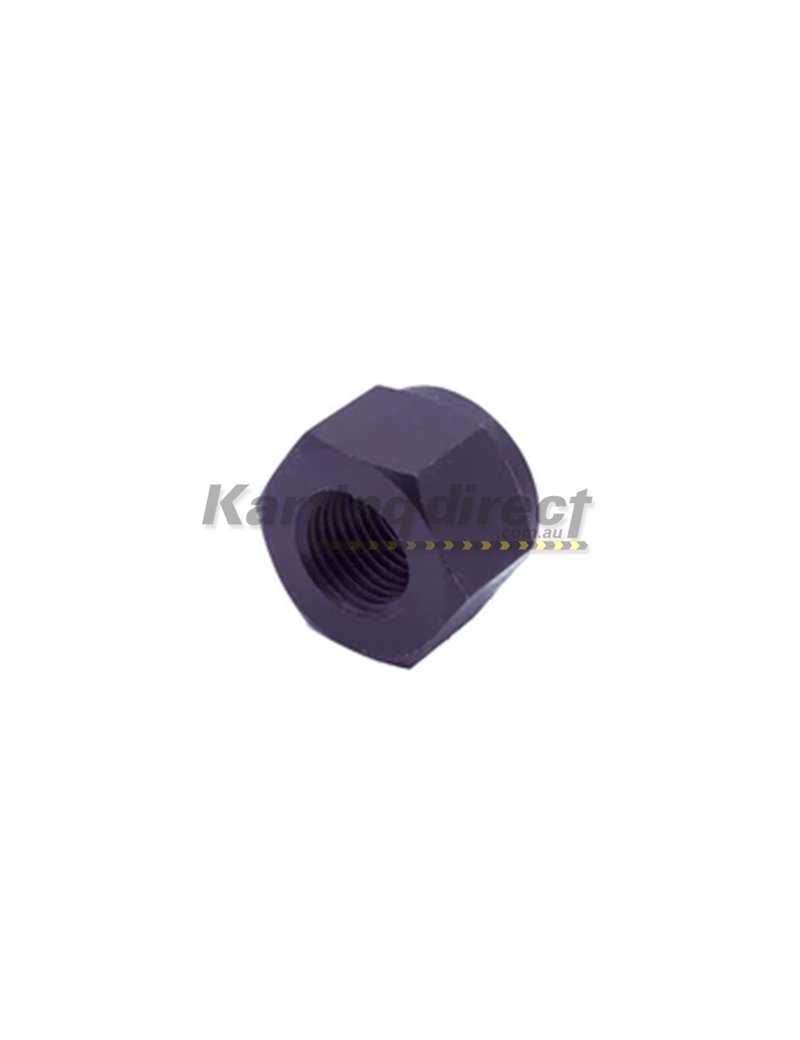 IAME KA100 / X30  Crank Shaft Nut D-75570