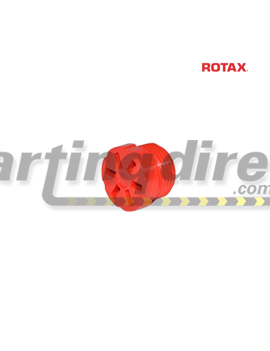  Rotax Power Valve Adjustment Screw - EVO 
Rotax Part No.: 241220 Z241220