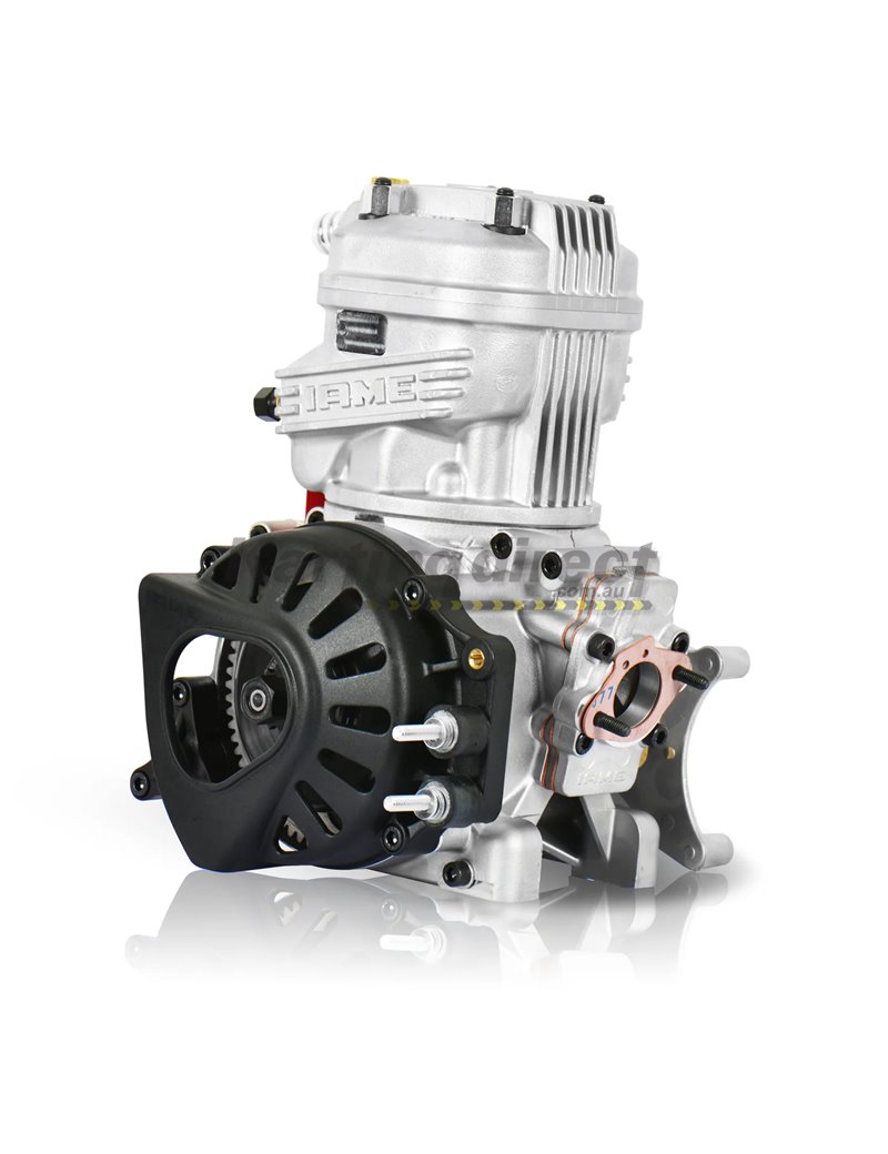 IAME X30 125cc TAG Engine Kit - very latest Model IAME X30 125cc TAG Engine Kit - very latest Model