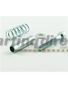 Pad Spring and Bolt
