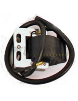X30 Selettra COIL          
Coil to suit  X30 and  RL
IAME Part No.: X30125955