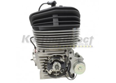 IAME KA100 TAG Engine Kit IAME Reed Jet