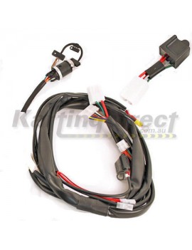 IAME X30  RL Leopard Wiring Harness  Includes Key and Relay. CDI Sold Separately