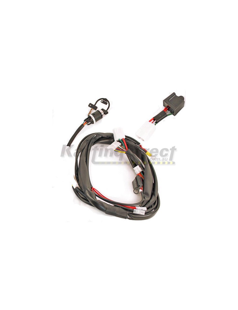 IAME X30  RL Leopard Wiring Harness  Includes Key and Relay. CDI Sold Separately